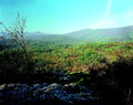 Smolenice Carst - Driny Cave surroundings