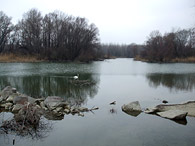 Bodícke rameno, 1. marec 2009