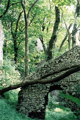 Hrad Ostrý Kameň VI.