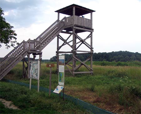 Birdwatching Tower