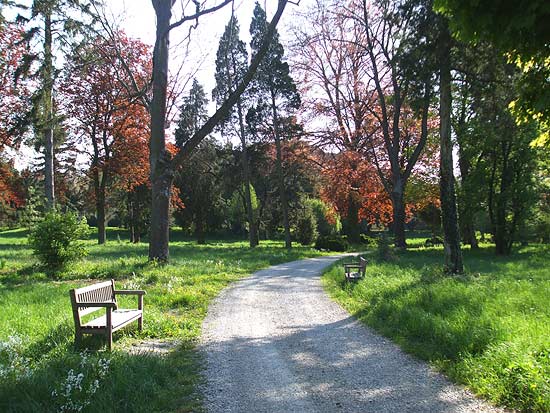 Park in Eckartsau