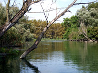Dunajské ramená