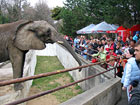 ZOO in Bojnice