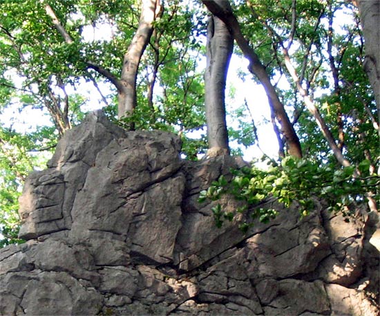 Rocks in the Small Carpathians Mountains