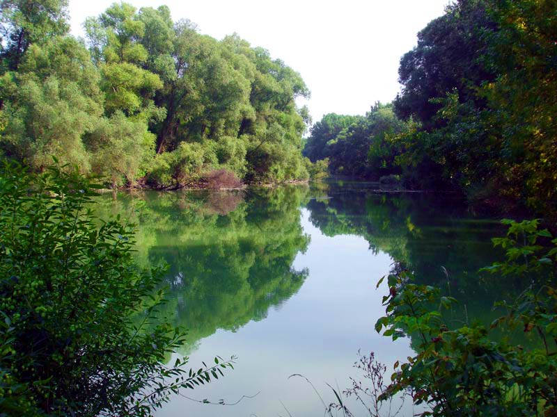 Danube River Branches