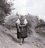 Znášanie ovsa v plachte - fotografia z knihy Svet na odchode