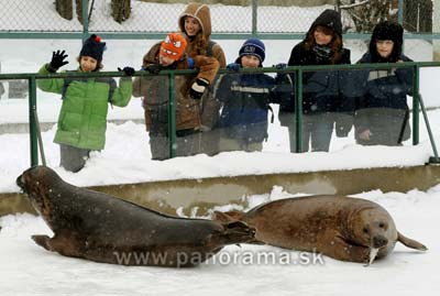 Spring holidays began in Eastern Slovakia. Children can visit ZOO in Kosice.