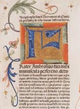 Detail of an initial from the work Biblia Latina (Norimberg 1478) - exhibition SNM