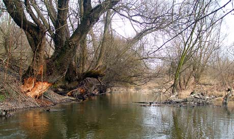 Dunajské ramená - 21.3.2010