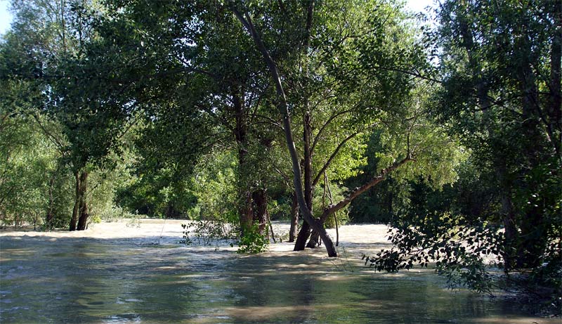 Pri druhom povodňovom stupni sa do Bodíckych ramien s hukotom valila voda zo starého koryta Dunaja
