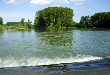 Dunajské ramená - ostrov