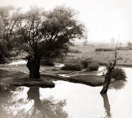 Pri rieke Bodrog  - z knihy V zrkadlách slovenských riek