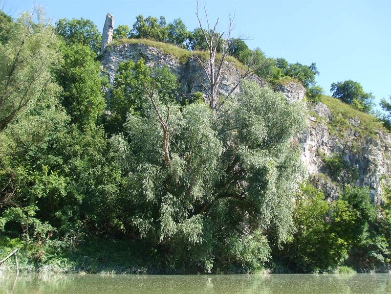 Ruin of the  R�thelstein  Castle