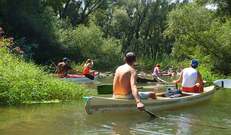 Dunajské ramená - Danube River branches