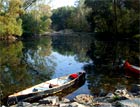 Danube River branches
