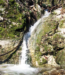 The Occasional Waterfall in The Male Karpaty Mts.