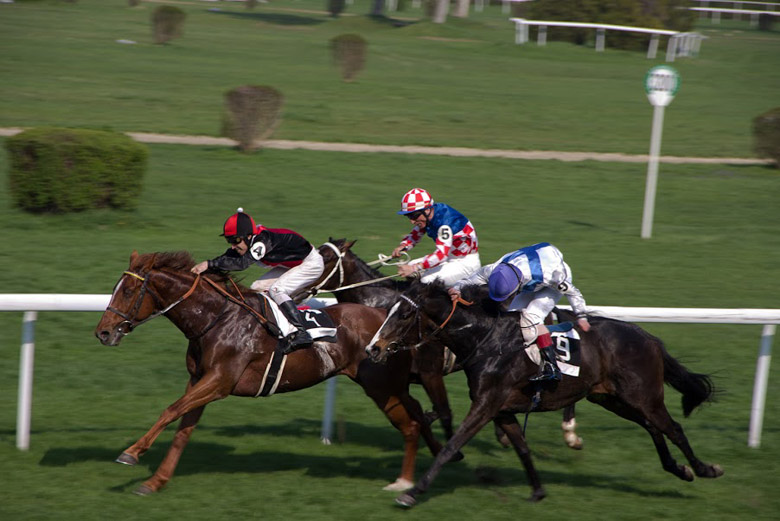 Horse races in Bratislava
