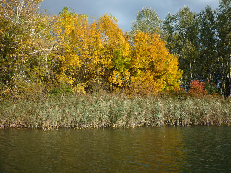 Jeseň v dunajských ramenách, 2013