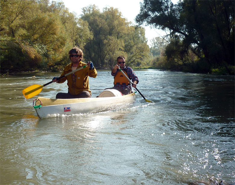 Fall in the Danube River branches, 2013