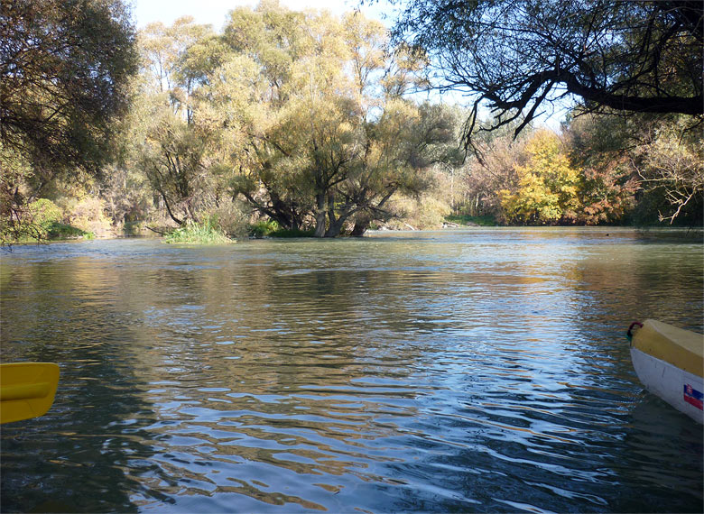 Fall in the Danube River branches, 2013