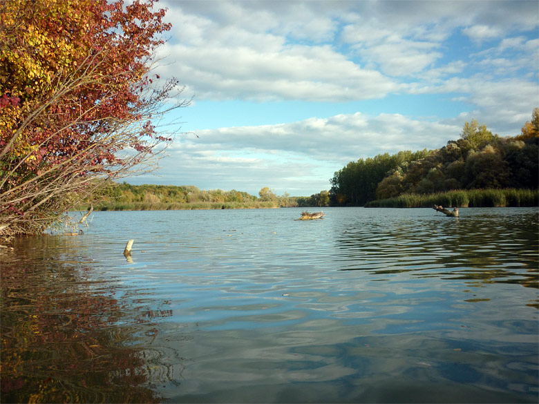 Fall in the Danube River branches, 2013