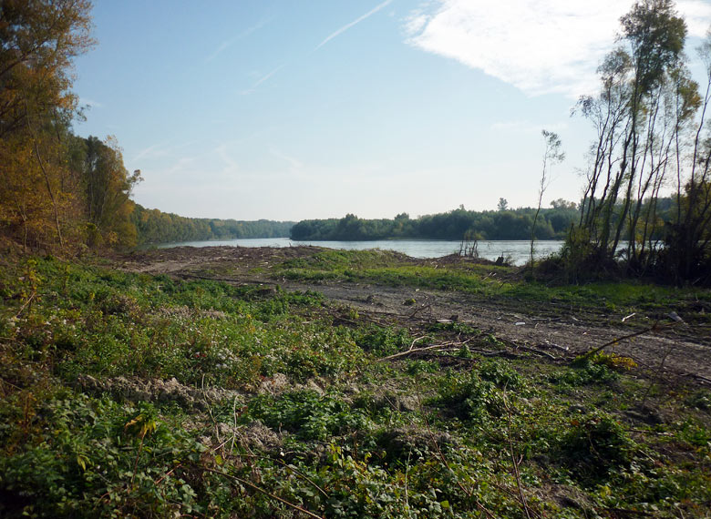 Fall in the Danube River branches, 2013