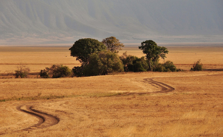 Krížom krážom kráterom