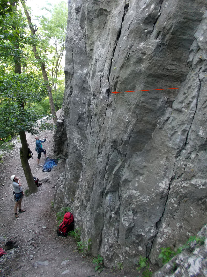 Plch -  šestková cesta natiahnutá v roku 2012 z niekdajšieho kratšieho liepaku, Pajštún