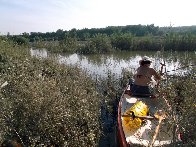 Konečne sa dostávame do hlavného koryta Dunaja