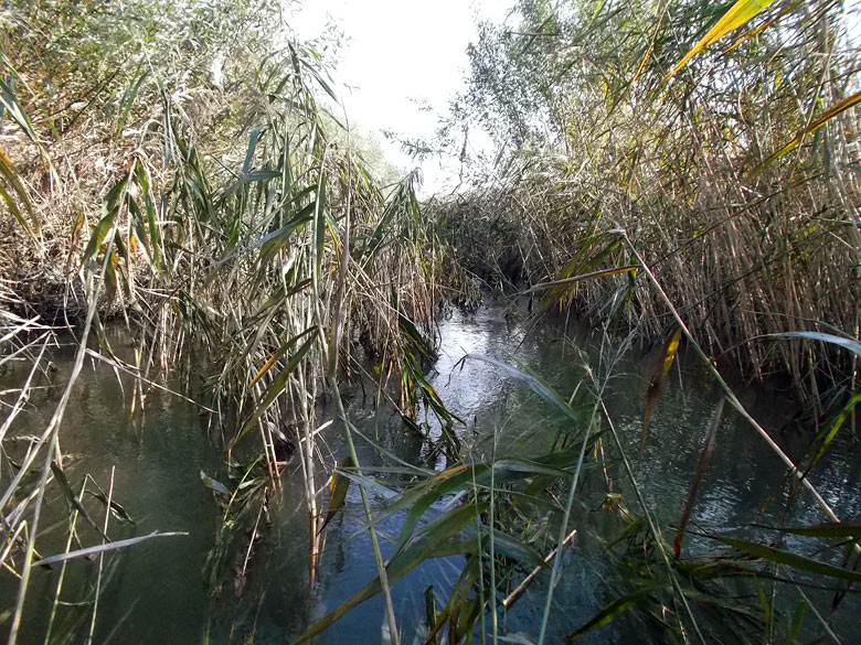 Tu sme hľadali Šuliansku bránu