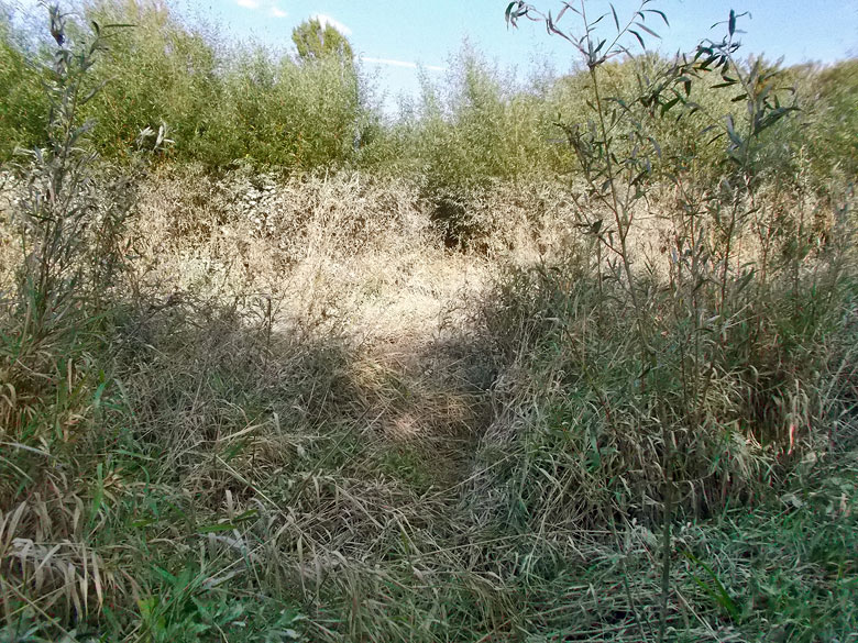 Napokon sa to podarilo. Našli sme chodník