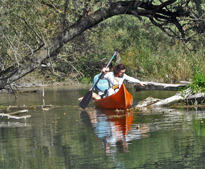 Danube River branch near Bodiky, Slovakia