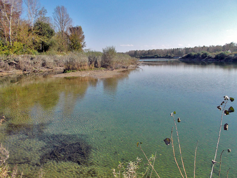 Danube water in Bodicka Brana Gate was surprisingly clean.