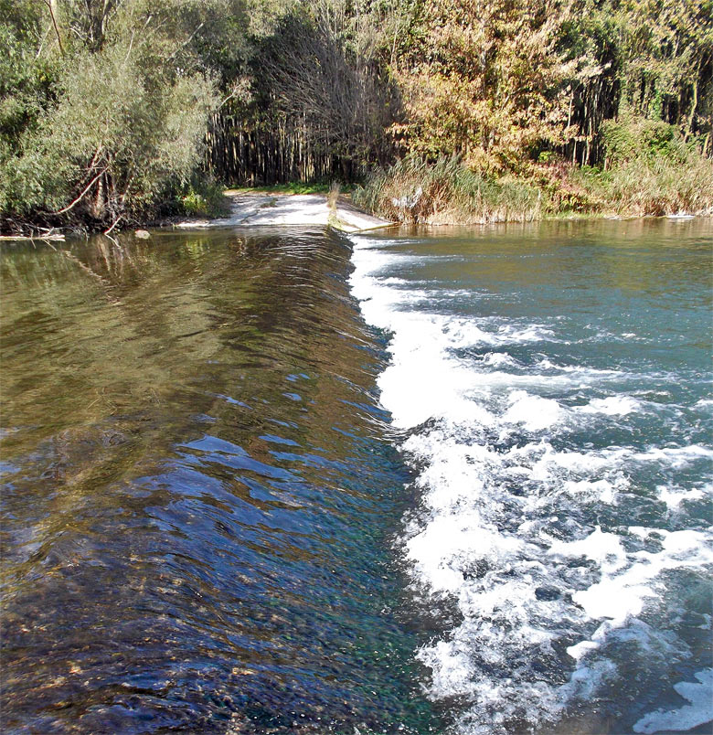 A weir in branches near Bodiky