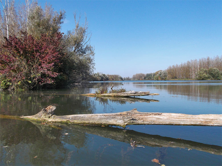 Danube River branch near Bodiky, Slovakia