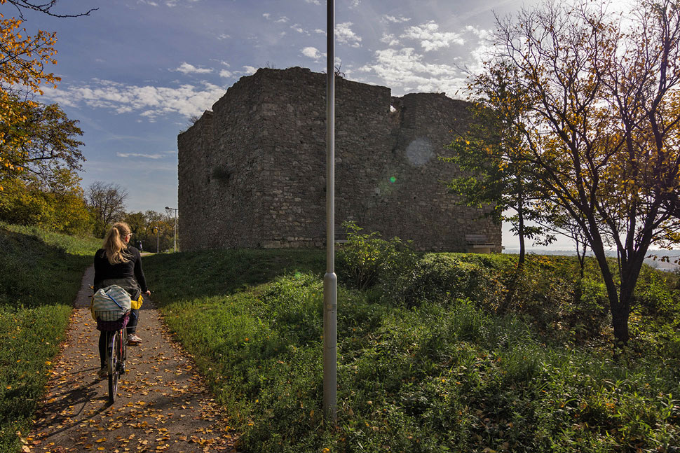 Neusiedler biking trip