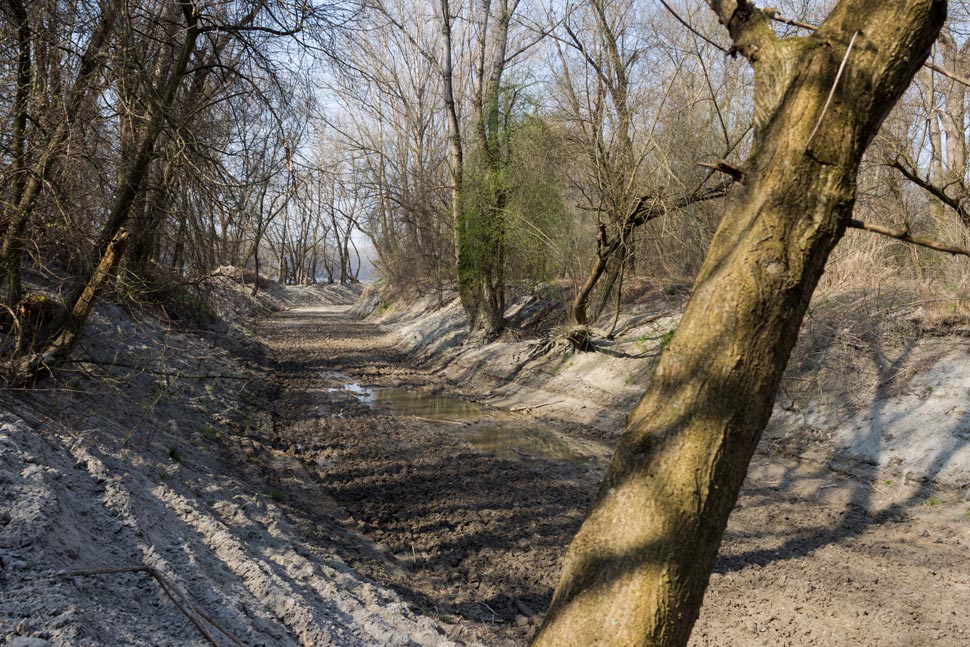 Devínske rameno čaká na vodu