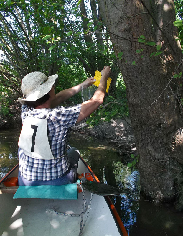 Moje prvé orientačné preteky