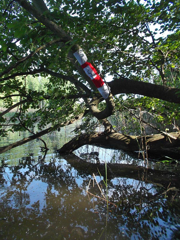 Takéto kontrolné body sme hľadali