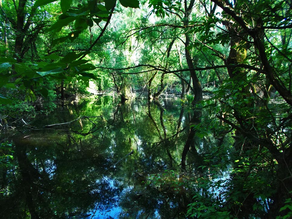 Tôňa, ku ktorej nás doviedlo hľadanie