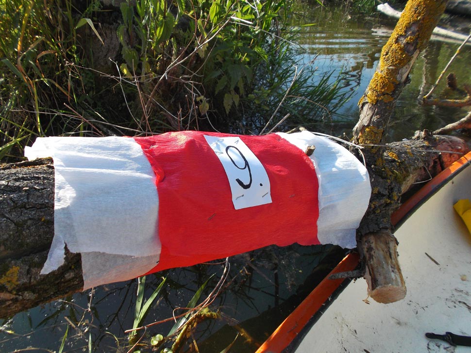 Kontrolný bod na orientačných pretekoch 2015