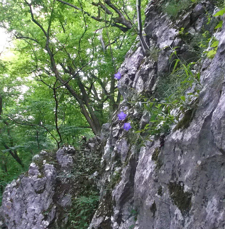 Skaly nie sú len skaly