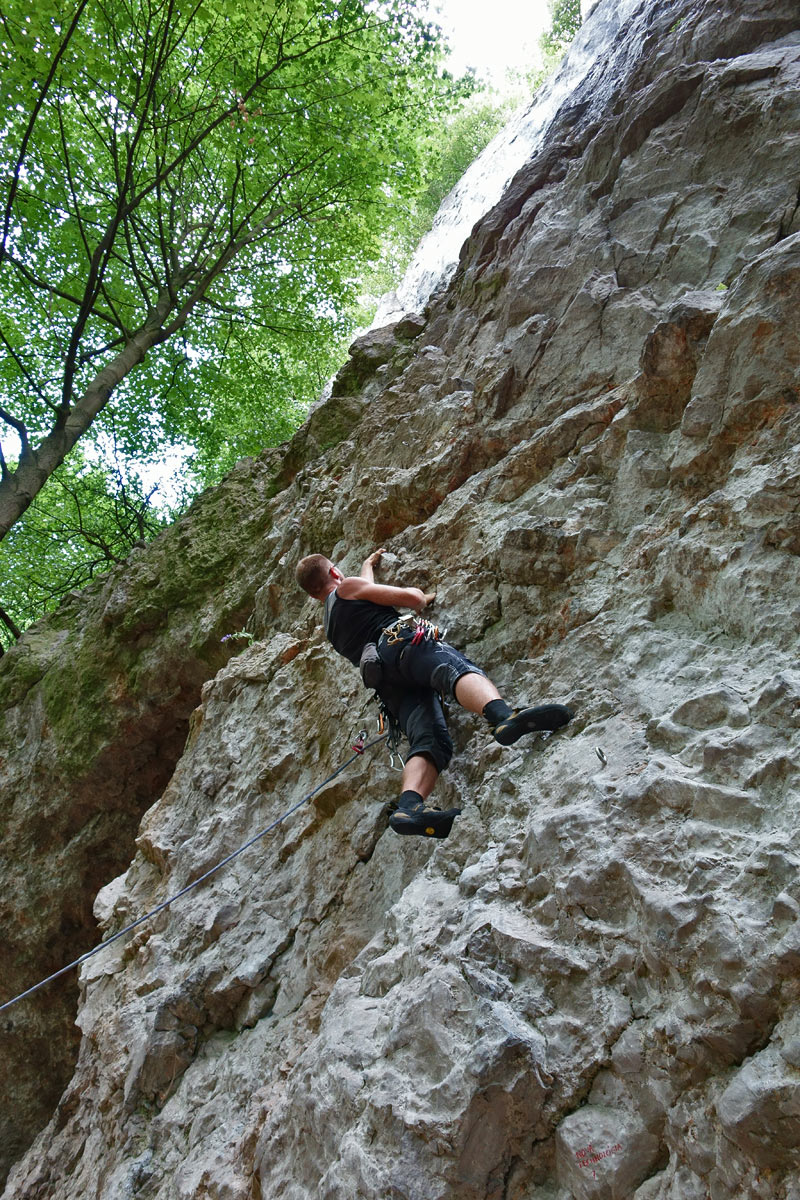 This climbing route could be called Bellflower