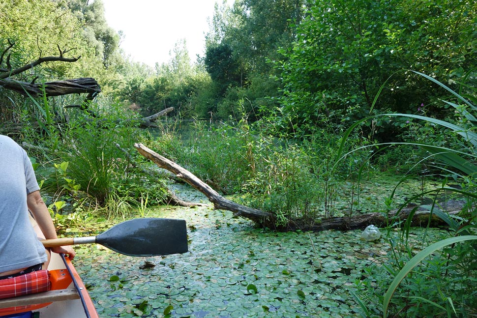 Jedna z posledných prekážok