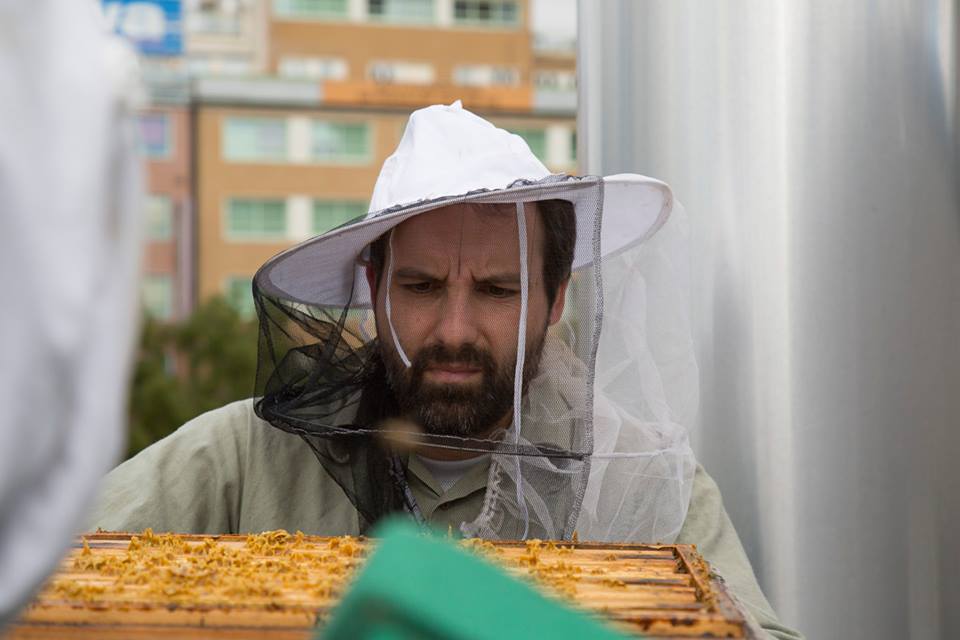 Hive at Stara Trznica building in Bratislava center