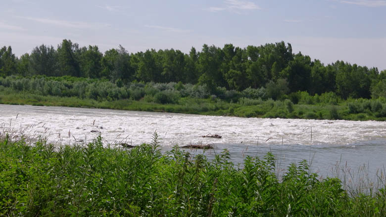 The second transfer on foot near Dunakiliti