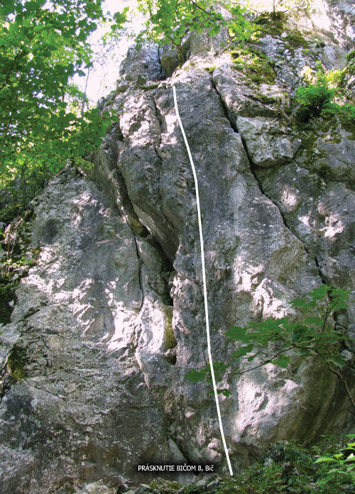 Bic (Whip) route - Blazon rocks region, Male Kapaty, Slovakia, taken from a guidebook