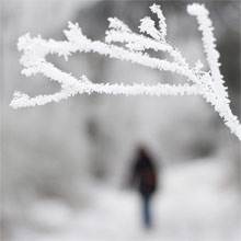 Decembrové pranostiky