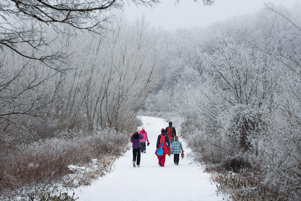 Trojkráľová prechádzka v zasrienenom lese