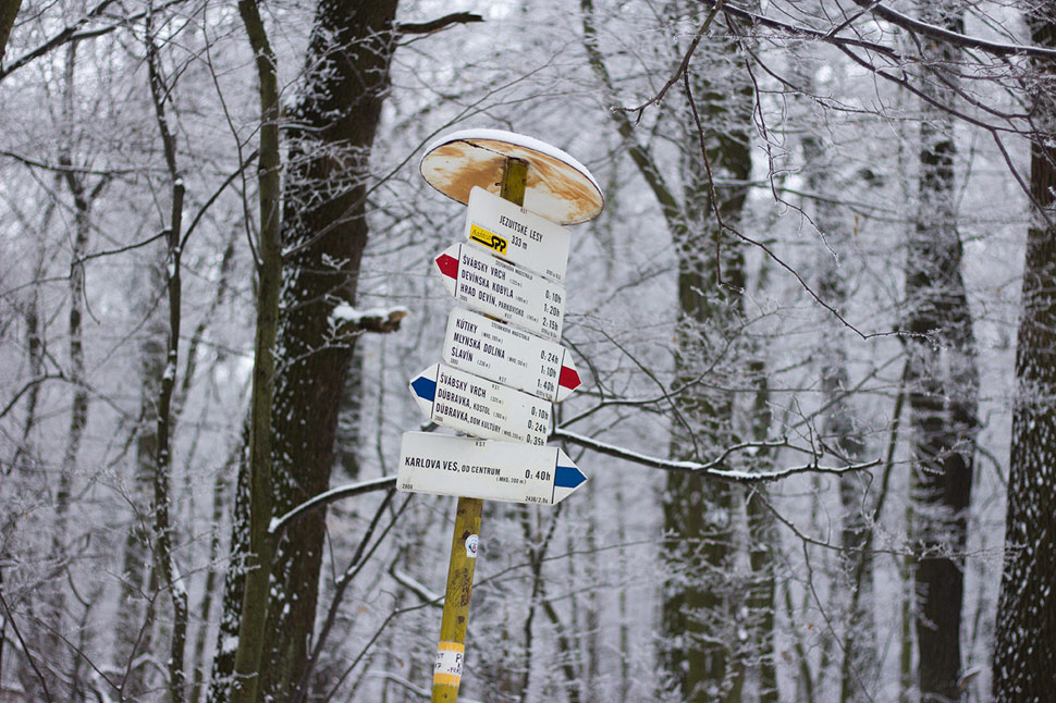 Trojkráľová prechádzka v zasrienenom lese